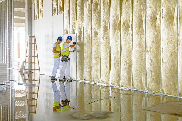 Best Commercial Insulation in Garden City, MI